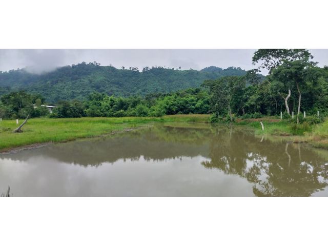 ขาย️ที่ดินติดบึงน้ำ 2 ไร่ 3ล้านบาท