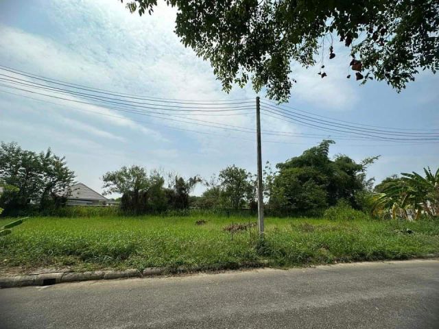 ขายที่ดินในหมู่บ้านนิมมานรดีแม่เหียะถนนคอนกรีตพร้อมโอน