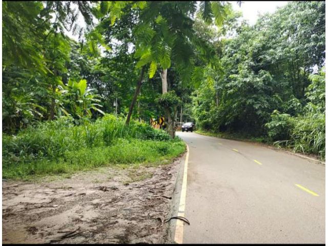 ขายที่ดินติดถนนทางขึ้นพระธาตุดอยคำเพียง 3 กม