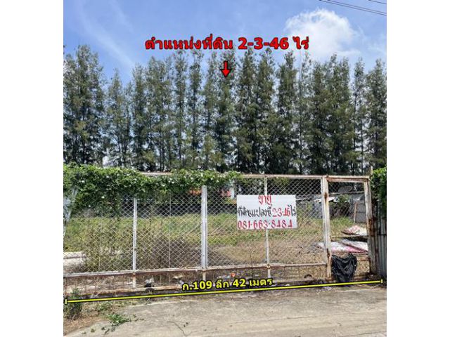 ขายที่ดิน 2-3-46 ไร่ ไอยรา1/1 คลองหลวง ปทุมธานี
