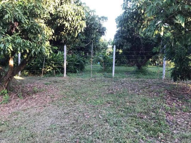 ขายที่ดินตำบลน้ำแพร่หางดงร่มรื่นเงียบสงบพร้อมโอน
