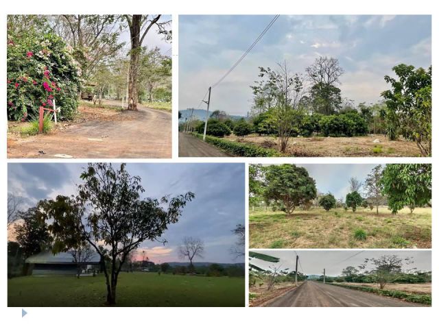 ขายที่ดินเขาใหญ่ ใกล้แหล่งท่องเที่ยว น้ำ-ไฟพร้อม อากาศเย็นสบายตลอดปี