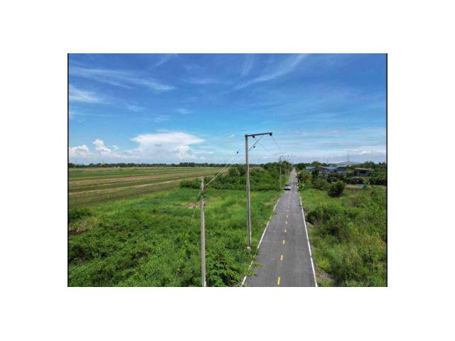 ขาย ที่ดิน 
~ TP-PF 0050
~ ไทรใหญ่ ไทรน้อย นนทบุรี 100 ตร.วา
