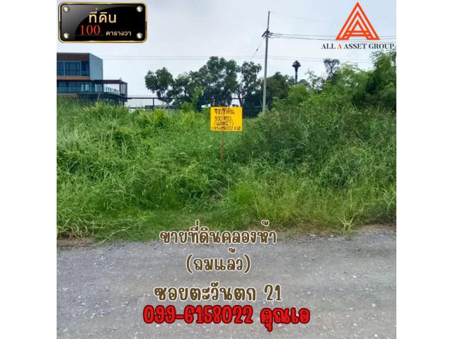 ขายที่ดิน คลอง5 ตะวันตก คลองหลวง ปทุมธานี