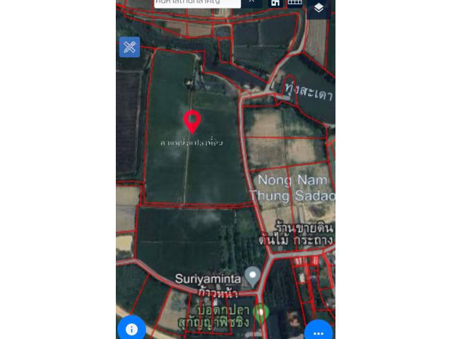 ที่ดินท้องนาท่าบุญมี 58ไร่90ตรว. ไร่ละ 6.5แสน ต.ท่าบุญมี อ.เกาะจันทร์ จ.ชลบุรี - ที่ดินติดถนนสาธารณะเป็นที่นาแต่ไม่ต่ำมากมีไฟฟ้าผ่าน ใกล้ตลาดเกาะโพธิ์