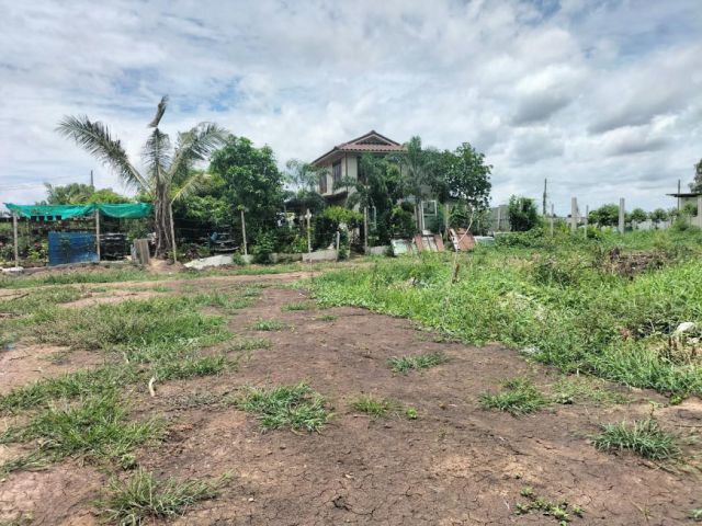 ขาย ที่ดิน ที่ถมแล้วพร้อมสร้างบ้านได้ ที่ดินเปล่าลาดหลุมแก้ว 2 งาน ขายถูก