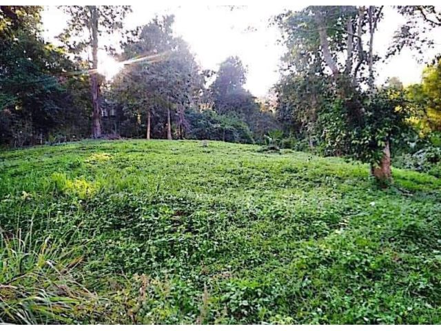 ขายที่ดินติดถนนบ้านปงสะเมิงทำเลดีค้าขายได้พร้อมโอน