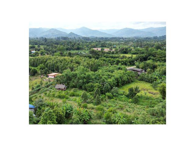 ขาย ที่ดิน 
~  TP-PTOM 0056
~  หุบเมย หินตั้ง นครนายก 300 ตร.วา