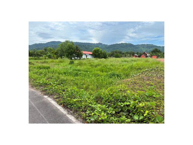 ขาย ที่ดิน 
~  TP-PTOM 0058
~  หุบเมย หินตั้ง นครนายก 1 ไร่