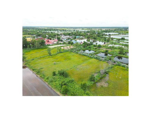 ขาย ที่ดิน 
~  TP-PTOM 0060
~  บ้านพริก บ้านนา นครนายก 1 ไร่