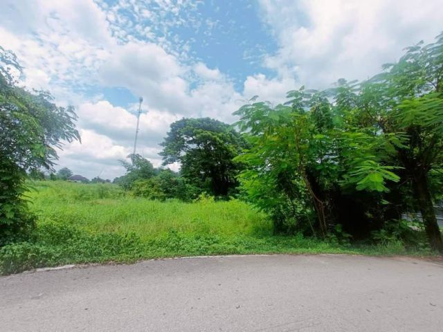 ขายที่ดินตำบลหนองผึ้งสารภีติดถนนแถวกองทรายพร้อมโอน