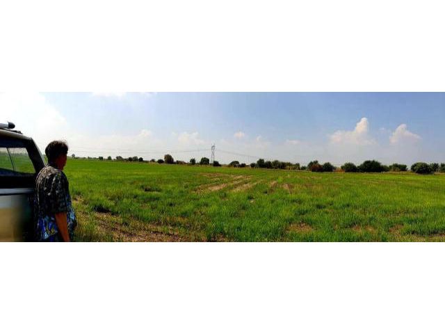 ขายที่ดิน ทำสวน ทำนา ลพบุรี อ.เมือง ต.ดอนโพธ์