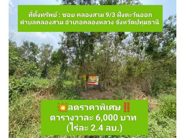 ขายถูกที่สุดที่ดินคลองสาม 2 ไร่เศษติดถนนคอนกรีตสาธารณะหน้ากว้างมากอ.คลองหลวง จ.ปทุมธานี095-879-4465