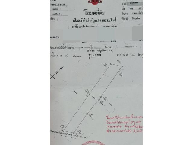 ขายที่ดิน4ไร่2งาน17ตรว.