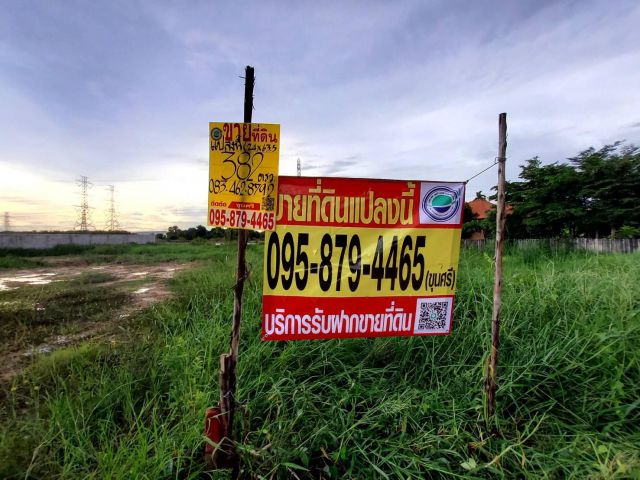 ต่ำกว่าราคาตลาดขายที่ดินไทรน้อย 382 ตารางวาติดถนนคอนกรีตสาธารณะซอยรุ่งโรจน์ ถนน บางกรวย-ไทรน้อย095-879-4465