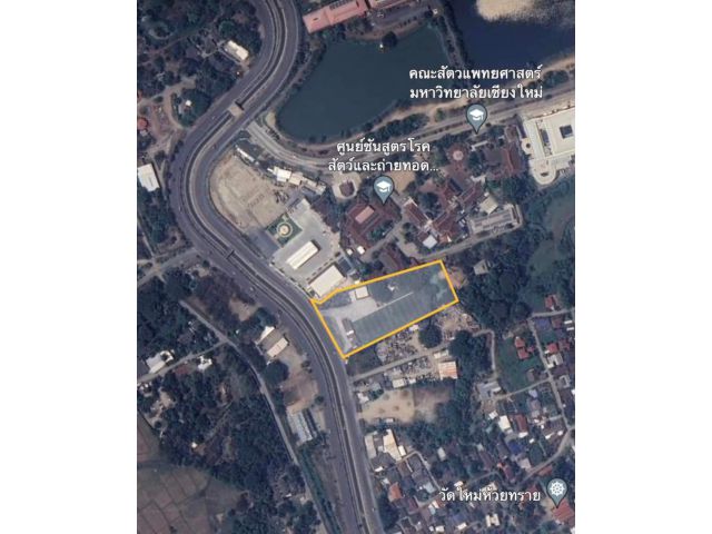 ขายที่ดินกลางเมืองติดมหาวิทยาลัยเชียงใหม่แม่เหียะคันคลองพร้อมโอน
