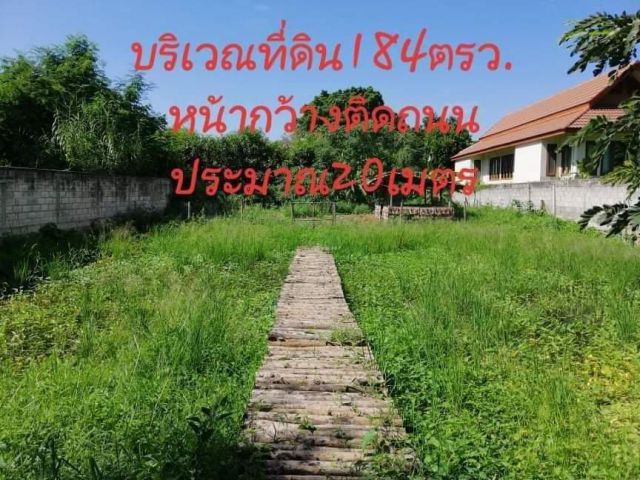ขายที่ดินหลัง อบต ตำบลป่าตันหน้ากว้างโฉนดพร้อมโอน