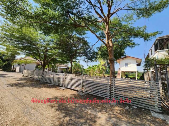 **ขายที่ดิน ถมแล้ว 194 ตรว. พร้อมบ้านไม้เก่า ชั้นเดียวหลังเล็ก…ใกล้คลองประปาระหว่างซอยวัดพระเงิน กับ ซอยกันตนาบรรยากาศดีเจ้าขอ