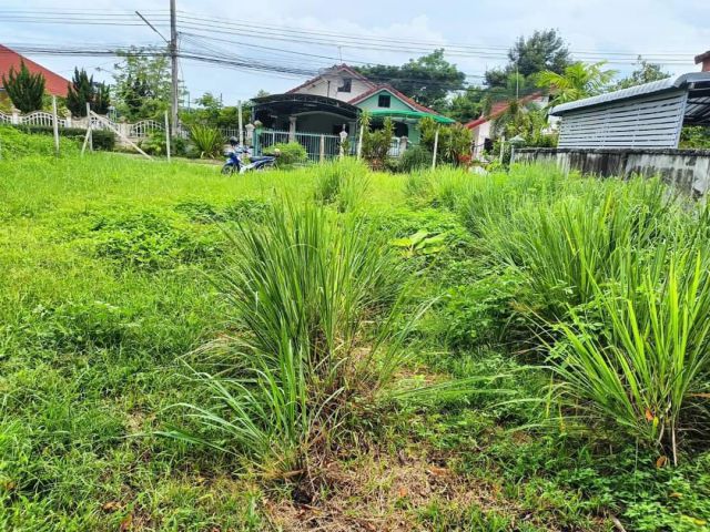 ขายที่ดินบ้านหนองอาบช้างสันโป่งแม่ริมโฉนดพร้อมโอน