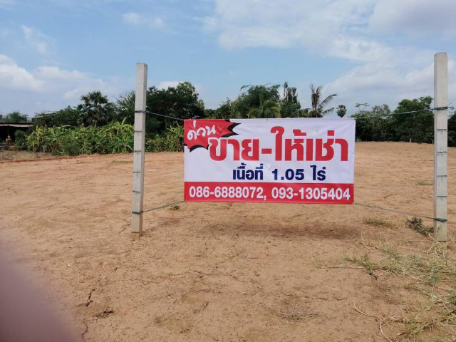 ขายที่ดิน 1ไร่ถมแล้ว ห่างเซ็นทรัลพิษณุโลก 8 นาที