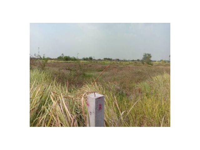 ขาย ที่ดิน ~ TP-PT 0032
~ ศรีษะกระบือ องค์รักษ์ นครนายก 100 ตร.วา