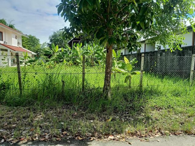 ขายที่ดินตำบลป่าตันหน้าศาลากลางห่่างถนนหลัก 400เมตร