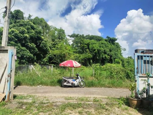 ขายที่ดินสันกลางสันกำแพงใกล้เมืองโฉนดพร้อมโอน