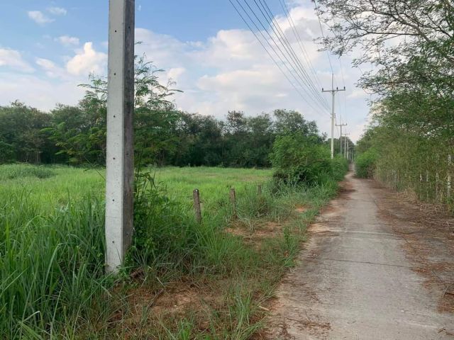 ขายที่ดินตำบลหนองหารสันทรายติดถนนใกล้สวนนงนุชราคาถูก