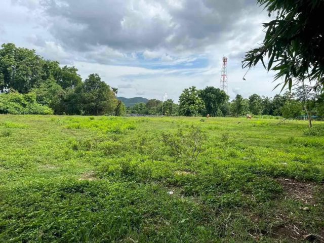 ขายที่ดินบ้านร้องวัวแดงห่าง อบต เพียง 550 เมตรพร้อมโอน