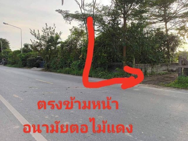 ขายที่ดิน ! ทำเลดีติดถนน ถมแล้ว  ใกล้ รพ.ส่งเสริมสุขภาพฯ ตอไม้แดง