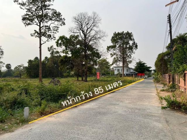ขายที่ดินทำเลดี ในซอยชยางกูร 42