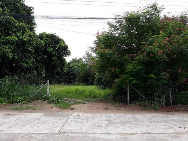 ขายที่ดินตำบลน้ำแพร่หางดงติดถนนทำเลค้าขายได้พร้อมโอน
