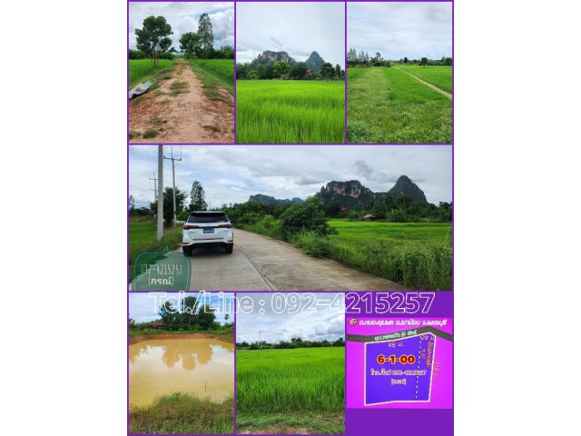 ขายที่ดินวิวเขาอีโก้ ผังเมืองสีม่วง อ.เขาย้อย จ.เพชรบุรี