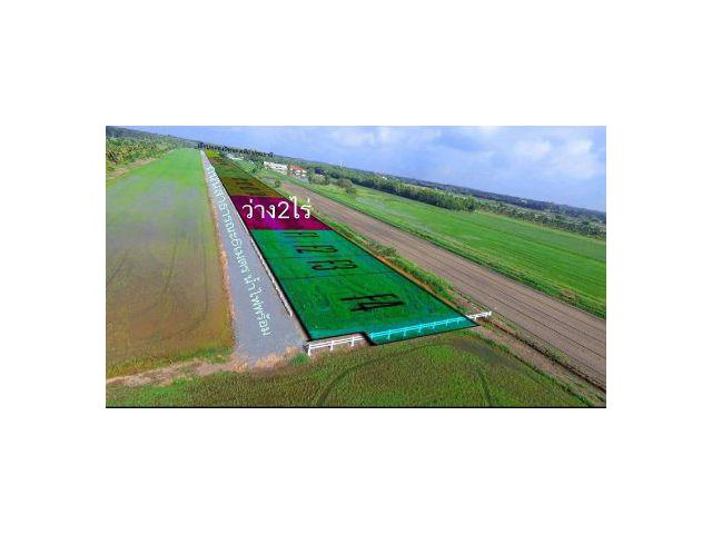 ขาย ที่ดิน 
~  TP-PLA 0067
~  บึงบา คลอง 9 หนองเสือ ปทุมธานี 1 ไร่