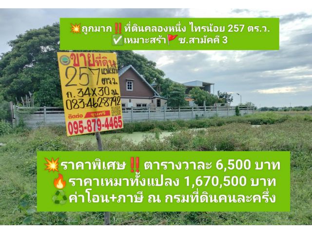 ราคาพิเศษที่ดินคลองหนึ่ง ไทรน้อย 257 ตารางวา️เหมาะสร้างบ้านสวนใกล้ถนน นบ.5027083-462-8792