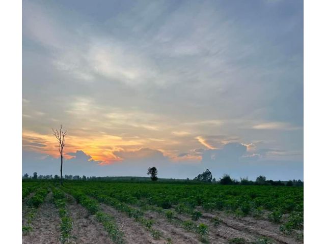 ขายที่ดินโฉนด10ไร่.เหมาะทำสวน..ขายไร่ละ200,000..ไฟฟ้าน้ำพร้อมม..ต่อรองได้..