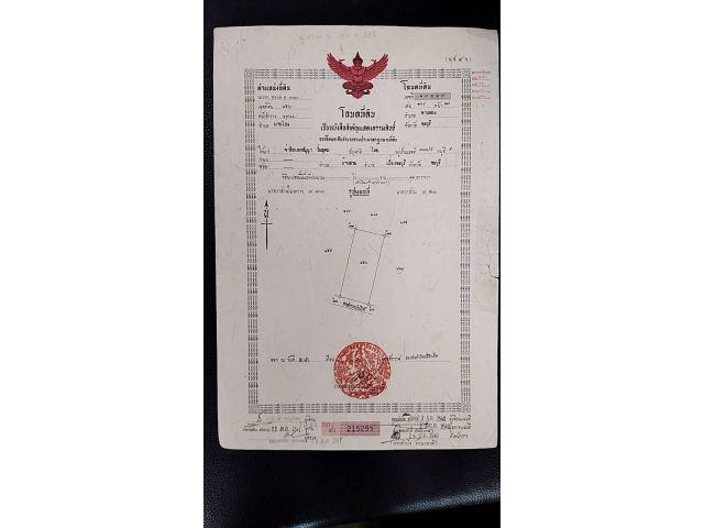 ขายที่ดิน เนื้อที่ 99 ตารางวา ต.มาบโป่ง อ.พานทอง จ.ชลบุรี