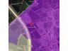 ขายที่ดิน (EEC) 25-1-37 ไร่ เป็นพื้นที่สีม่วง ติดถนนคู่ขนานมอเตอร์เวย์ ราคา 7 ล้านบาท/ไร่