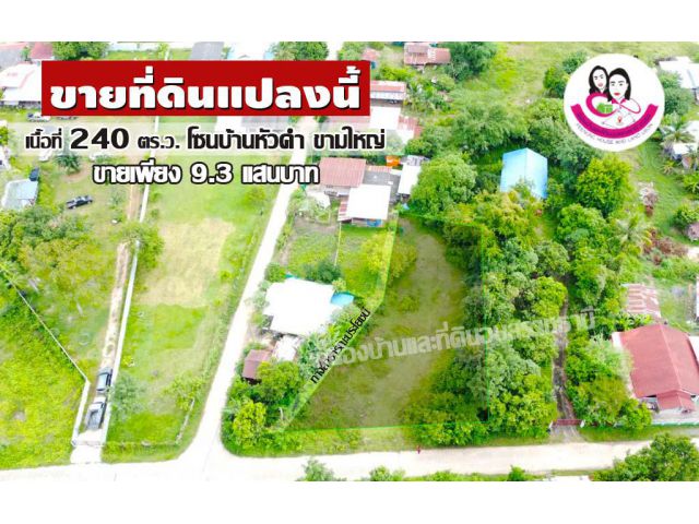 ขายถูก!! ที่ดินเปล่า 240ตารางวา บ้านหัวคำ