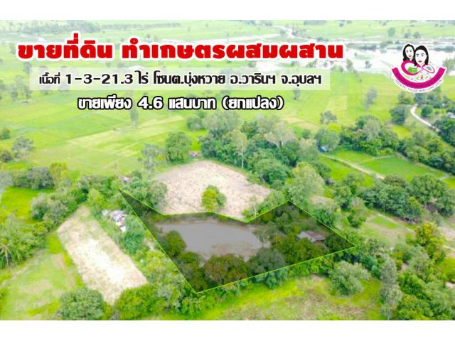 ขายที่ดินเหมาะทำเกษตรผสมผสาน โซนวารินชำราบ