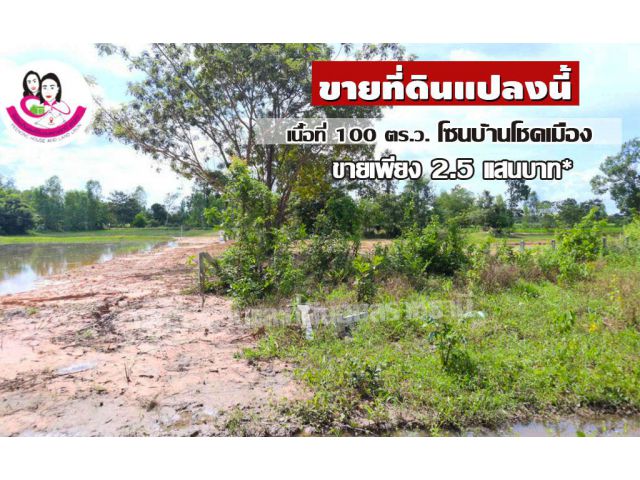 ที่ดินเปล่าเข้าใหม่ 100ตร.ว. ที่ดินในชุมชนบ้านโชคเมือง
