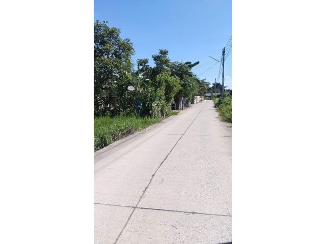 ขายที่นาสันปูเลยดอยสะเก็ตห่างตลาดท่ารั้ว 2 กม