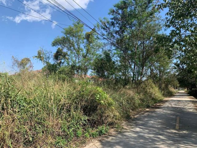 ขายที่ดินตำบลแม่เหียะถนนกว้าง 4 เมตร โฉนดพร้อมโอน