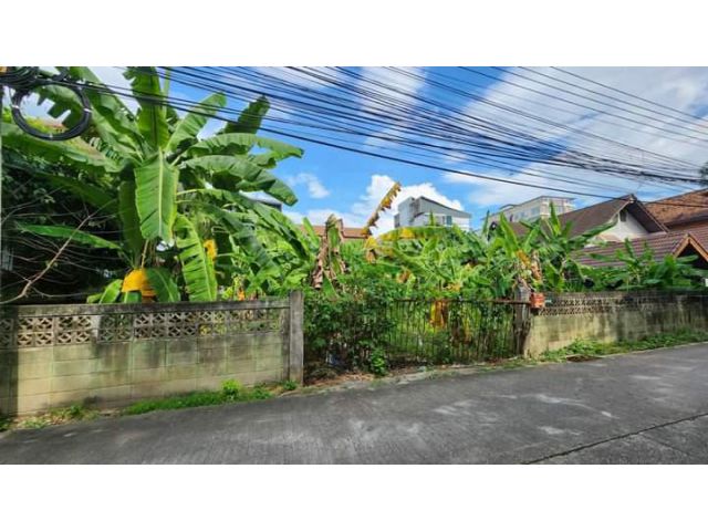 ขายที่ดินตำบลสุเทพนิมานกลางเมืองเชียงใหม่พร้อมโอน