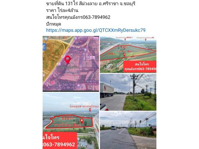 ขายที่ดิน 131ไร่ สีม่วงลาย อ.ศรีราชา จ.ชลบุรี ราคา ไร่ละ4ล้าน สนใจโทรคุณมังกร063-7894962