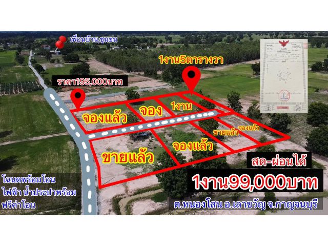 ขายที่ดินโฉนด 1 งาน 99,000 บาท มีไฟฟ้า น้ำประปา