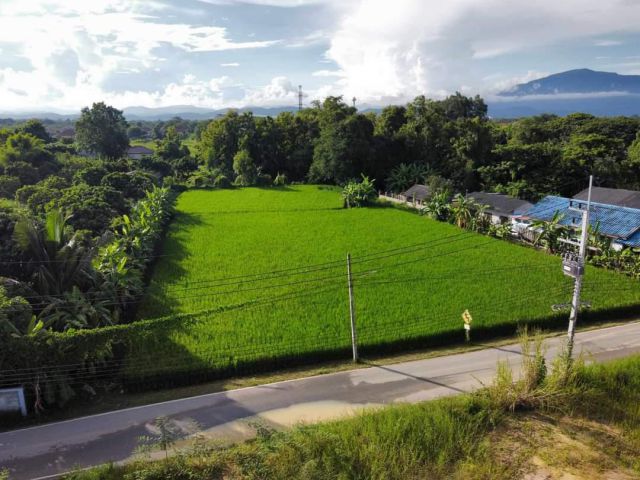 ขายที่นาวิวท้องนาบ้านแหวนหางดงวิวดอยพร้อมโอน