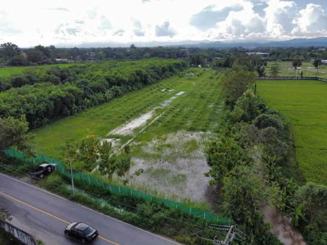 ขายที่ดินบ้านสันผักหวานหางดงตรงข้ามโรงเรียนนานาชาติลานนา