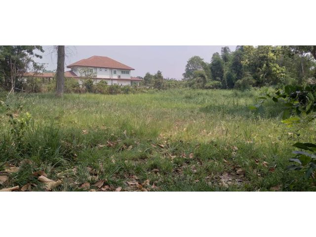 ขายที่ดินดอนแก้วแม่ริมตรงข้ามค่ายพิเศษที่ 7 ห่างถนนหลัก 300เมตร
