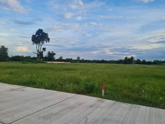 ขายที่ดินสันทรายหนองจ๊อมใกล้รวมโชคสันผีเสื้อพร้อมโอน